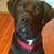 Andrea Petrin Salhoff's profile image