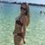 Lauren Reichert's profile image