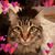 Mary McGraw's profile image