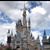 Shayne Hackworth's profile image