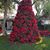 Katherine DeRosier-Hertz's profile image