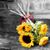 Alondra McClain's profile image