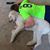 Diane Gasiorowski Pratt's profile image