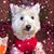 Beverly Mathews's profile image