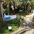 Feras Al-halabi's profile image
