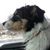 Cliff Stockton's profile image