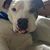 Margaret Dopson's profile image