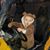 David Dienstbach's profile image