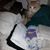 Kristie Crow Anders's profile image