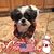 Joy Marie DePaola Aragonesi's profile image