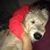 Marcy Crouse Kahler's profile image
