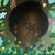 Annette Bruzual's profile image