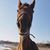 Melisa Meyer-Gunnett's profile image
