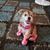 Becerra Monica's profile image