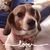 Allison Hilton's profile image