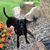 Lisa Dypwick's profile image
