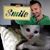 Gianluigi Foschi's profile image