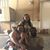 Rosanna Sepeda Brown's profile image