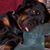 Lynda Burkey's profile image