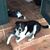 Darlene Welborn's profile image