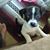 Robin Arpin's profile image