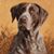 Dan Jones's profile image