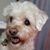 Emily Fraas's profile image
