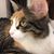 Rebecca Budde's profile image