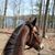 Diane Equus's profile image