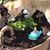 Janet L. Phillips's profile image