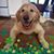 Ghizlaine B McPartland's profile image