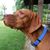 Doogie Sellers's profile image