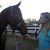 Jill Wardle's profile image