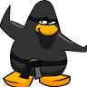 Kashish S.'s profile image