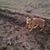 Candelario Robles's profile image