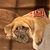 Susanne Doyle's profile image