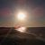 Judi Gibbs's profile image