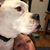 Bev Partlow Thor's profile image