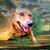 Paul Bromley's profile image
