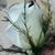 Abby Oates Floral's profile image