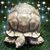Kelly Penfold's profile image