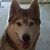 Marilyn Becker-Glasser's profile image