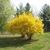 Marcia Bielicki Gissiner's profile image