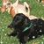 Susie Spriggs's profile image