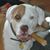 Kathy Hughes Jugo's profile image