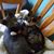 Linn Bodle's profile image