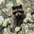 Miriam Kirschner's profile image