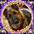 Sandra Johnson Parsons's profile image