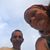 Sharina Busse's profile image