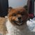 Scott Smith's profile image